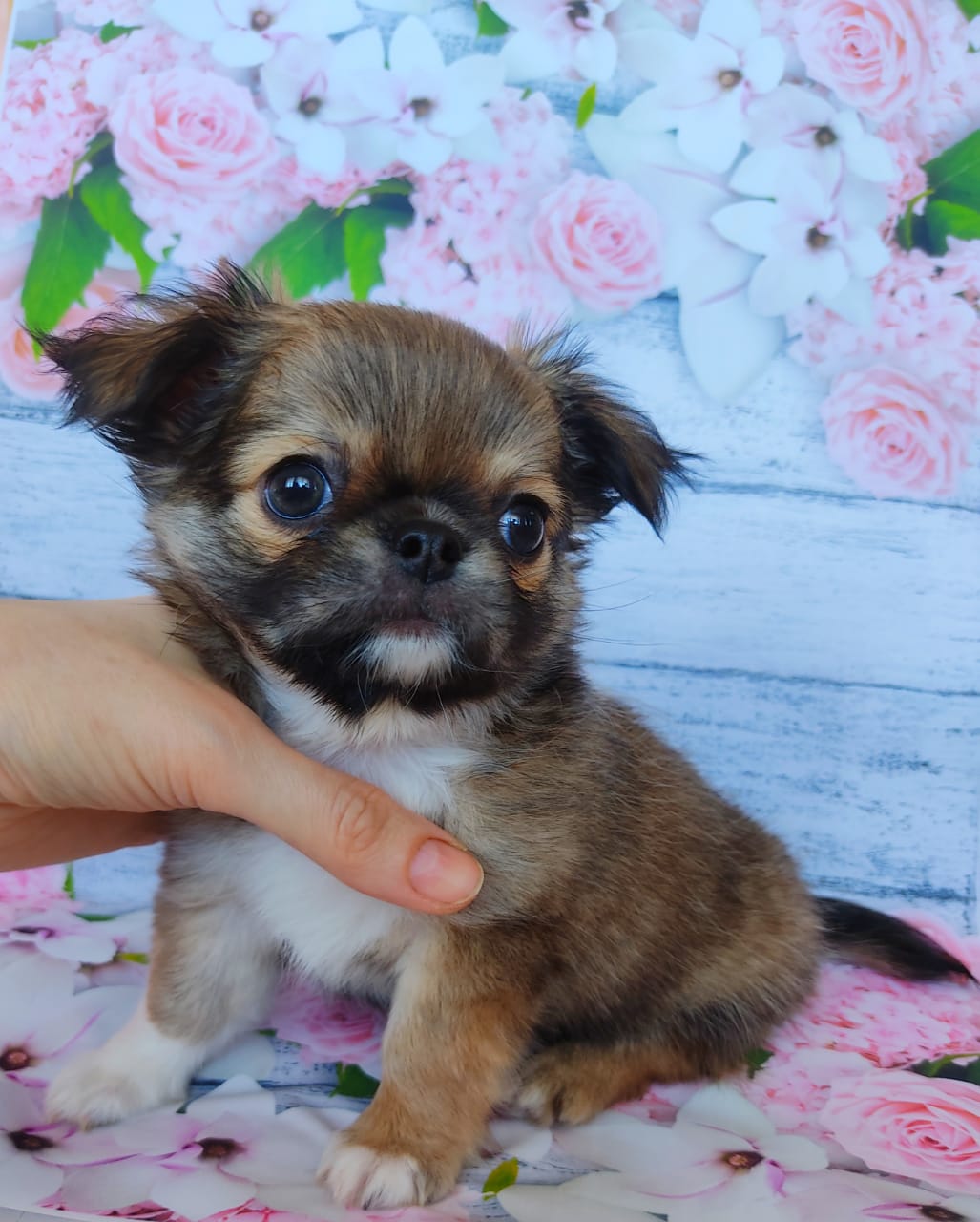 0e5b7c0b-a0a0-4034-b055-e8d560c2efe8