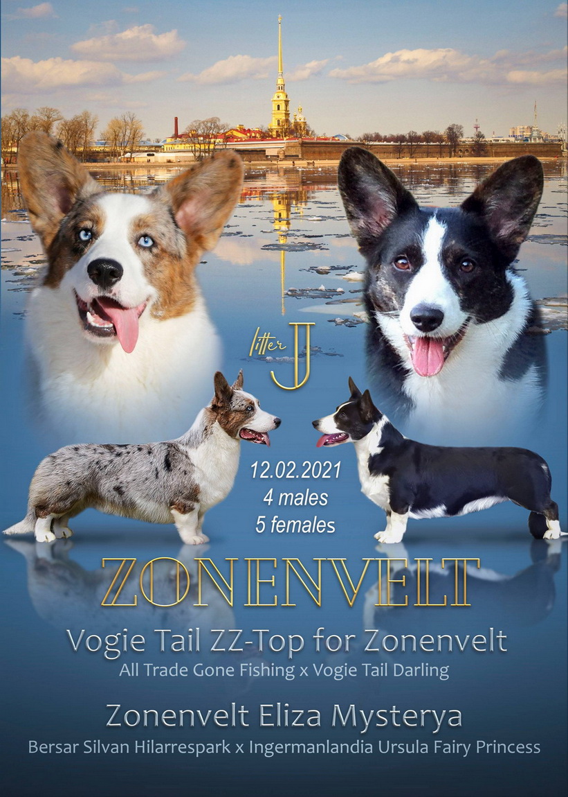 156608918_875037770016057_8895ПР-МД-ЛИ-ВК-Р-1