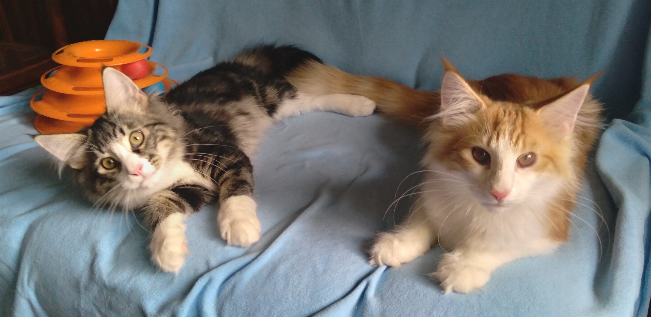 20210515_162129-1122