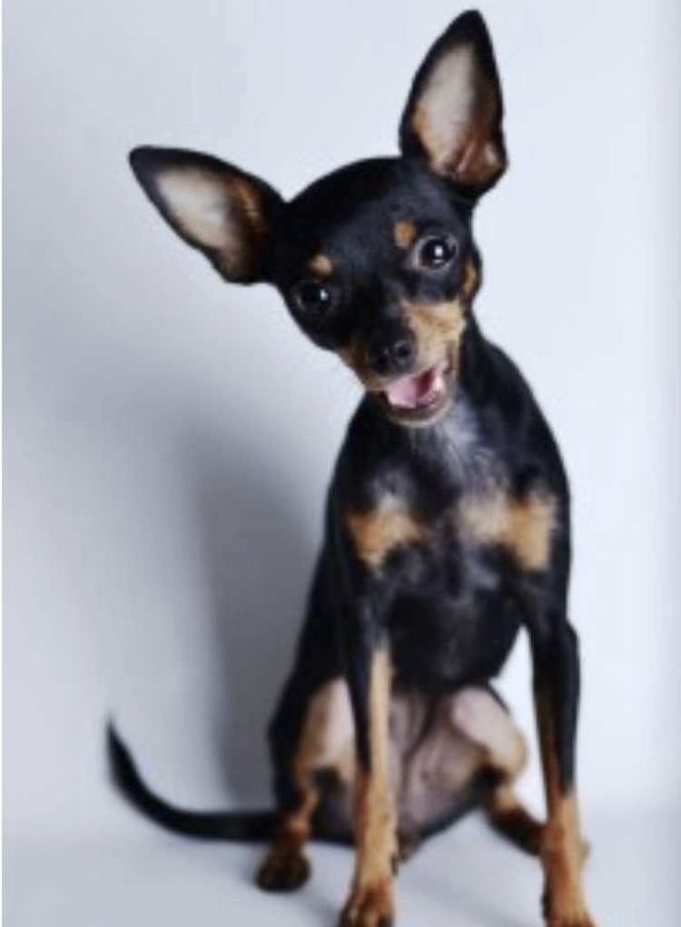 29E078AF-4039-48B1-8E7E-19C530765BE1