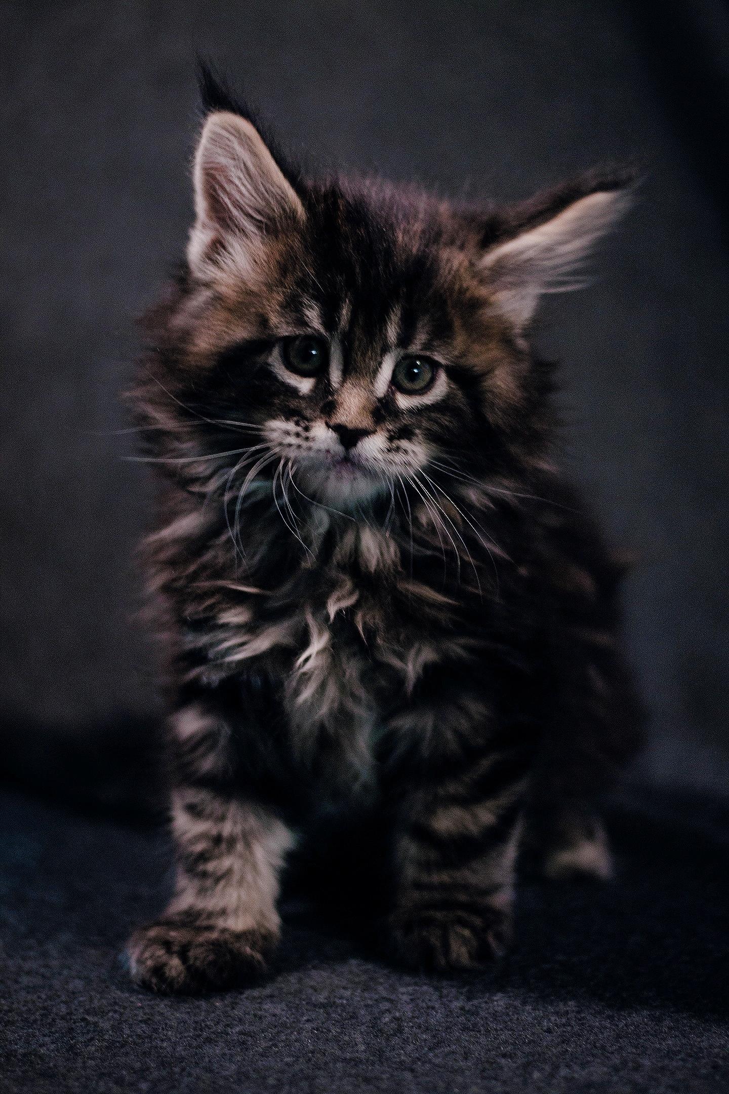 3rFblC6Zh74_mh1619725749482