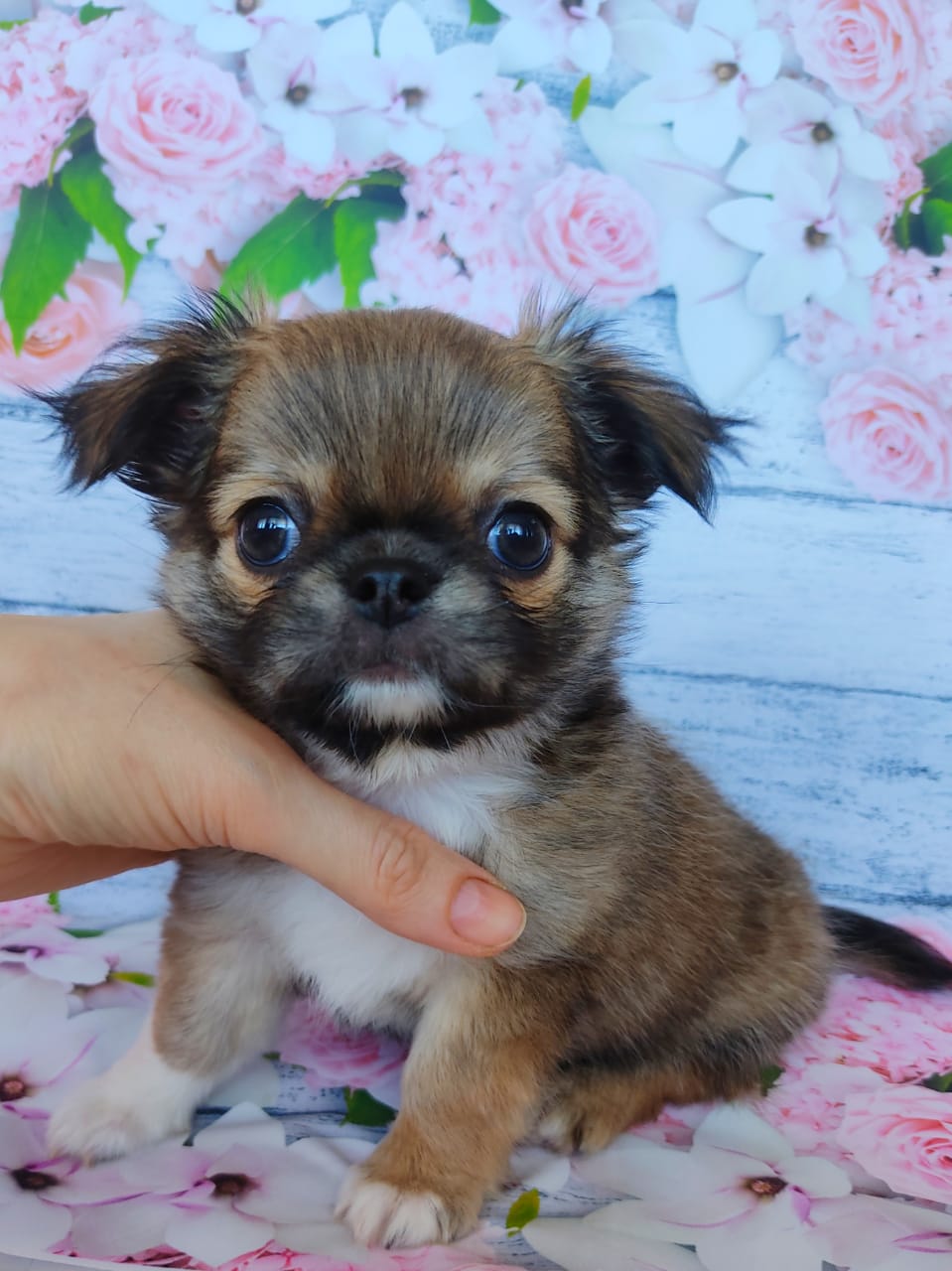 673437b0-e697-4916-96b3-cf99398e8f9f