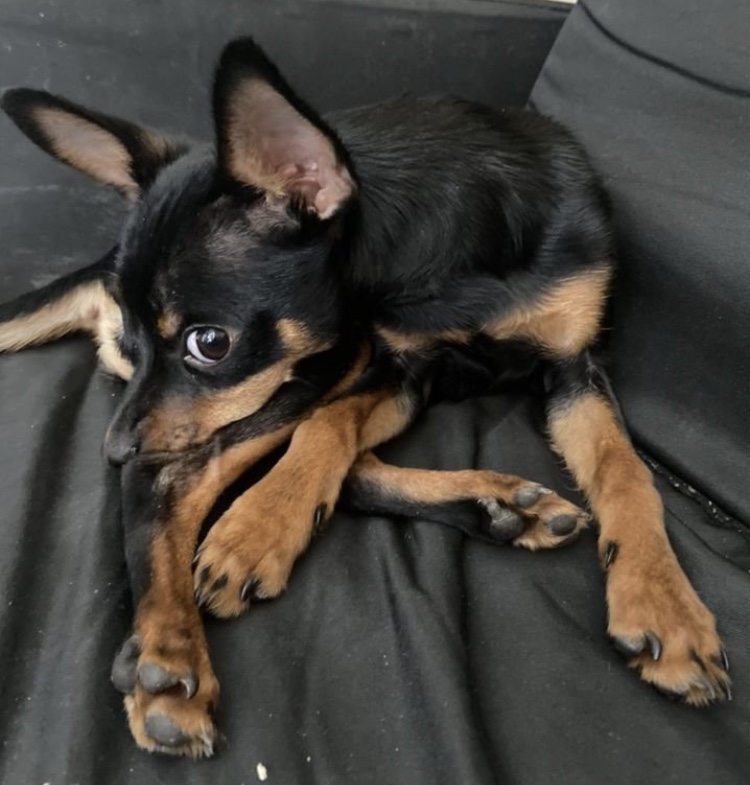 B1F1650A-0B80-4FDC-861D-DF1AB7A95187