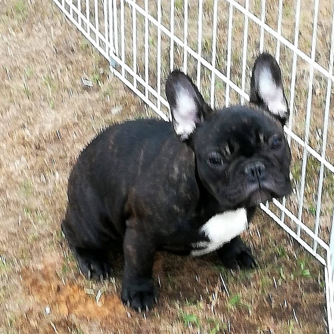 IMG_20210505_182735_922