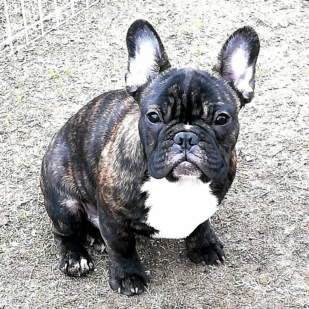 IMG_20210505_182735_940