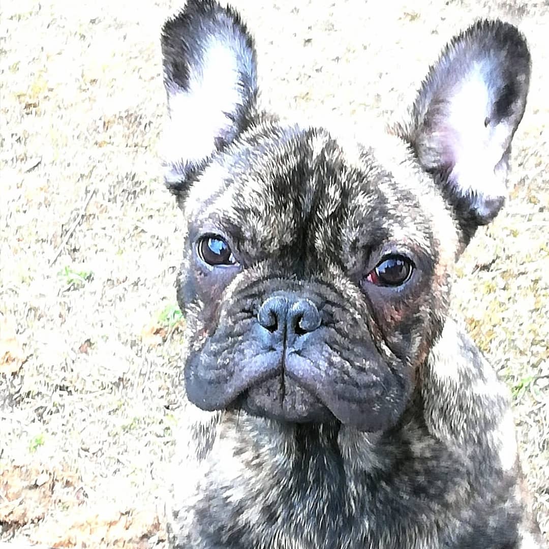 IMG_20210505_182735_948