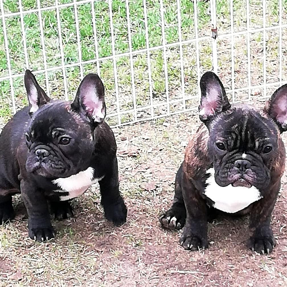 IMG_20210505_182735_953