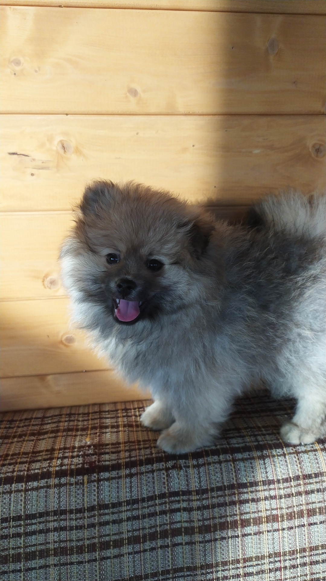 IMG_20210522_194449_724