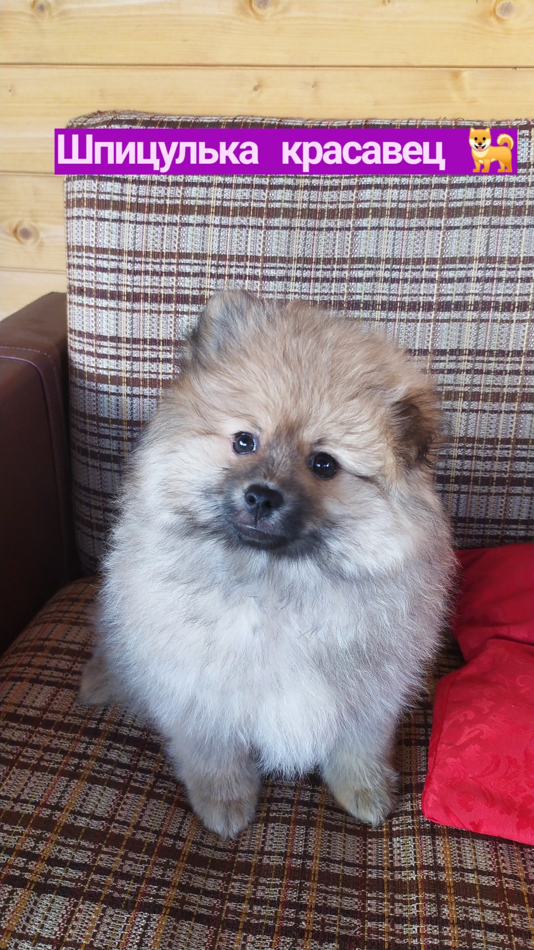 IMG_20210522_195108_337