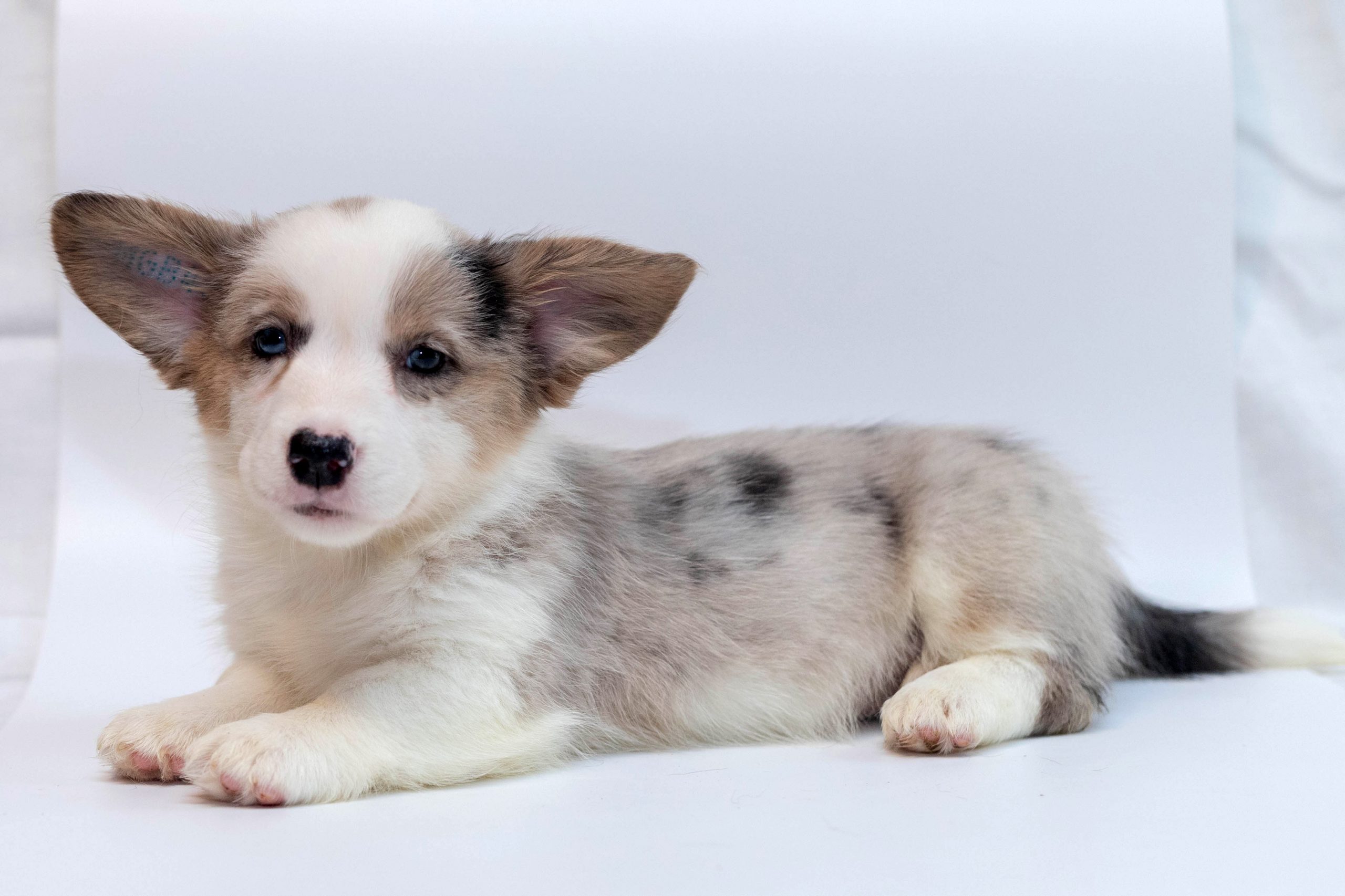 IMG_408ВК-ФБ-ПР