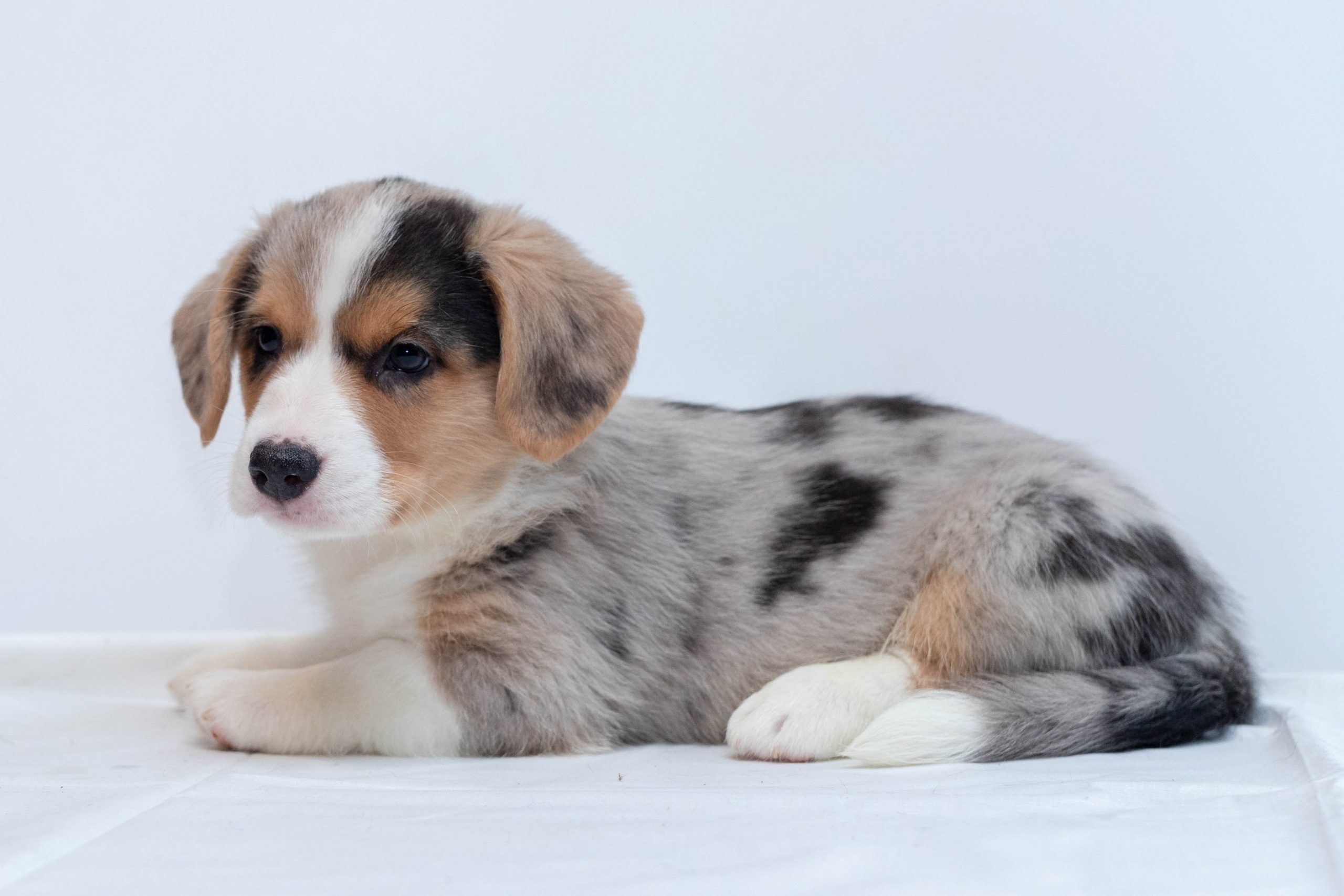 IMG_417ВК-ФБ-ПР