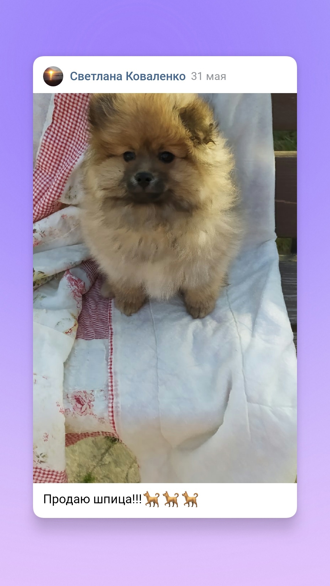 KZH5K8MWHCC_C2bivD4qVafs0DZUe6CINW_sitNoxUo6IKpUDIoOJrBrxxX-mWLtvyQo0wbCsCxJPPU-ym26ylsP