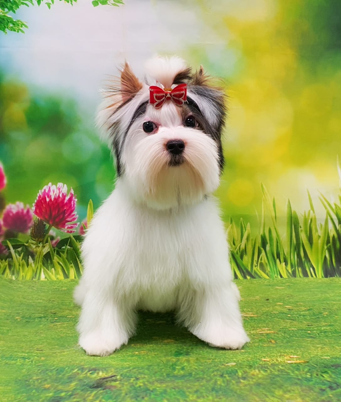 WhatsApp-Image-2021-05-21-at-12.19.24