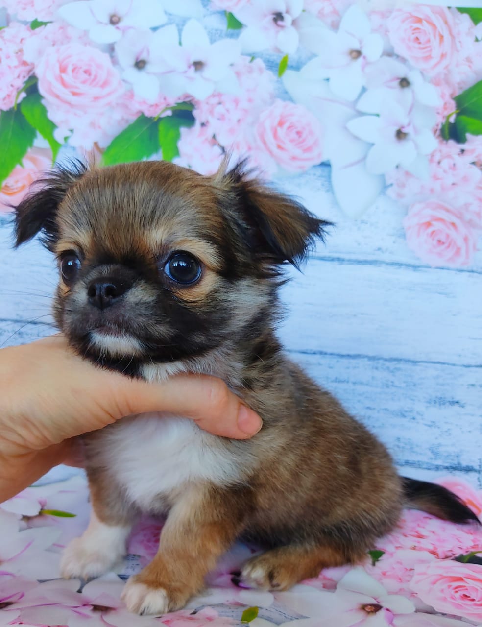 c48d4410-d0ed-4e36-9adb-f0c5d46eb364