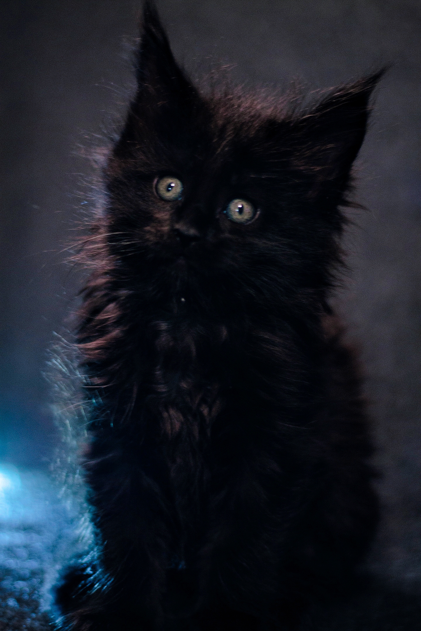 otLhiajMUpI_mh1619725478995