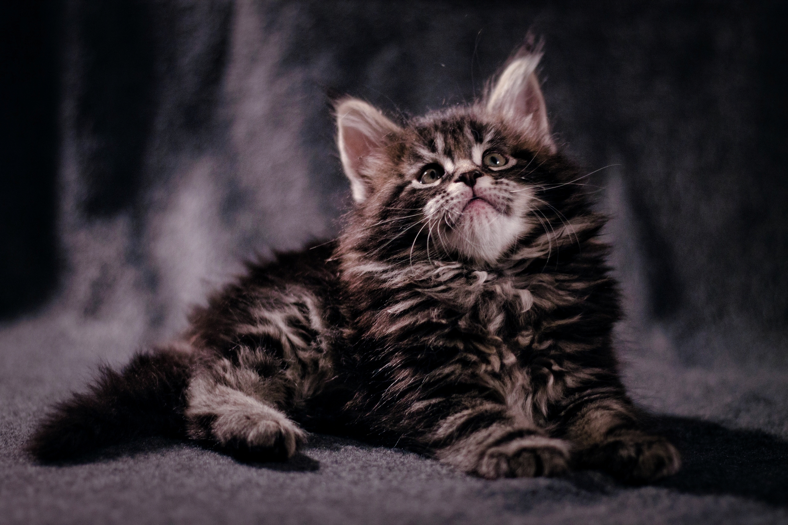 ssft3d_hSYc_mh1619725639512