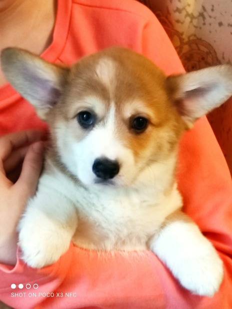 -названия-11