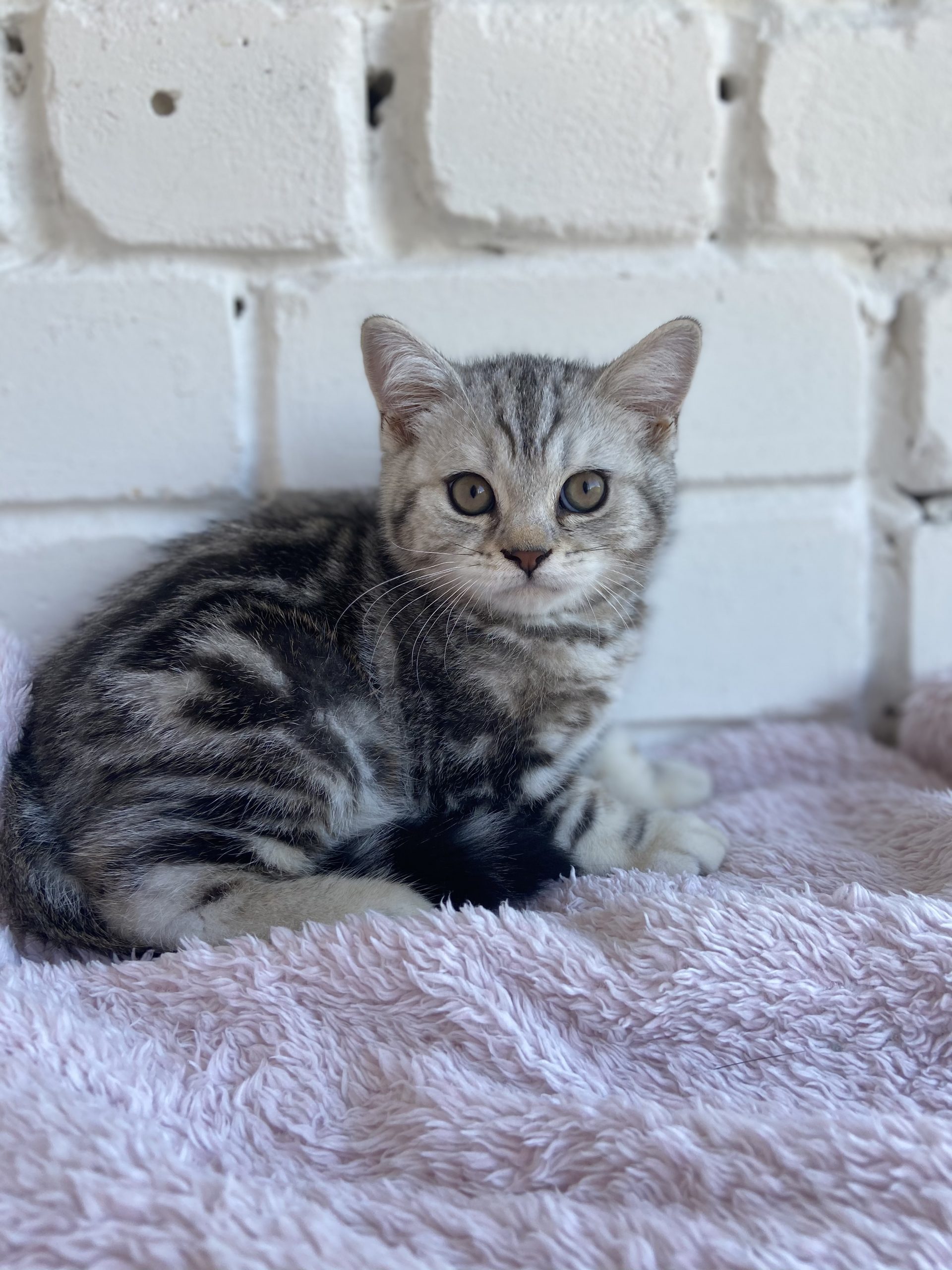 1341FDBA-A4E5-48FB-9173-B3DB885A868A