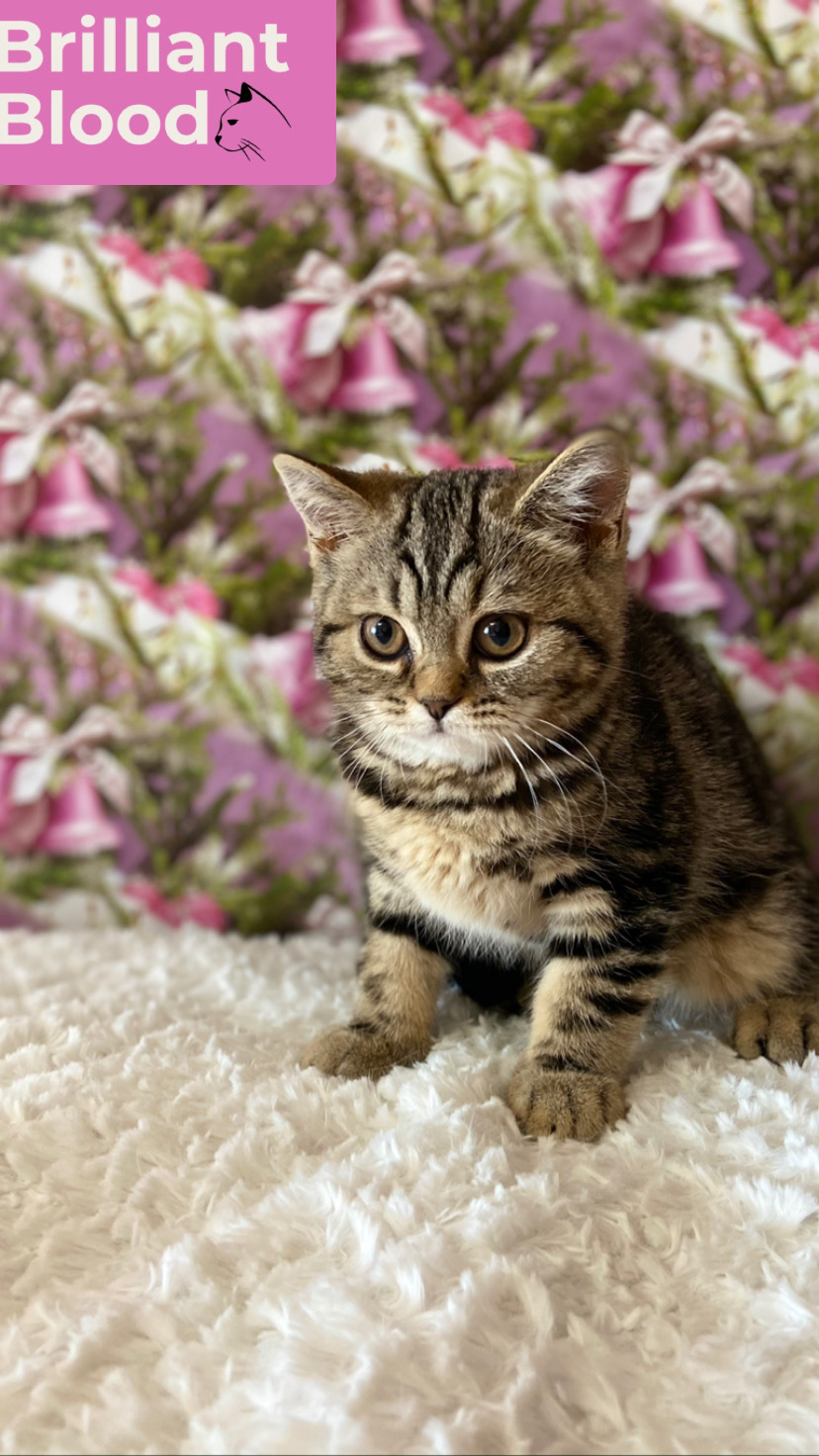 18C261D7-25AE-496C-88A9-CA5FA8E29BAE