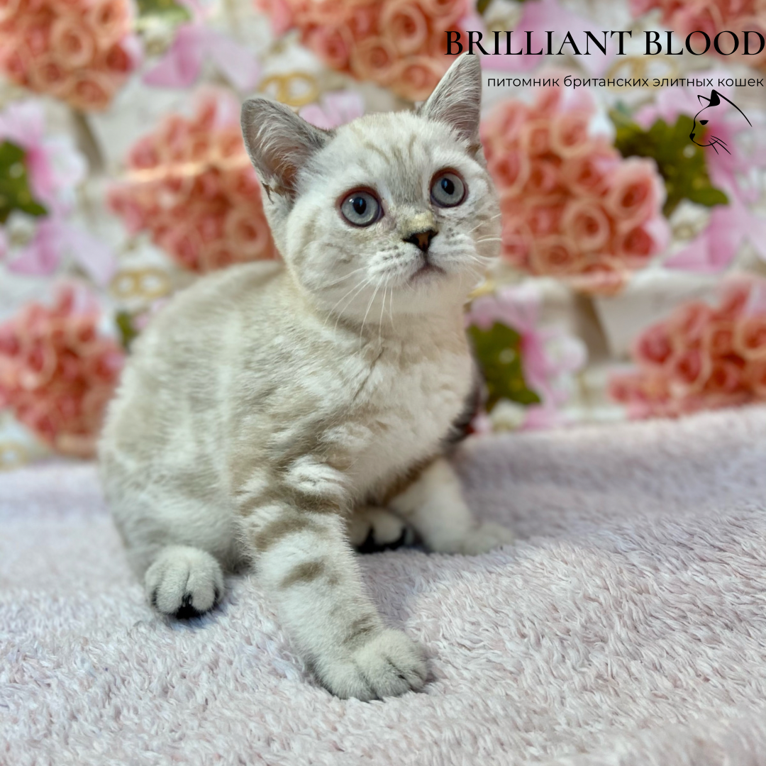 1F759B8A-AA99-4328-AEA2-D48054642DE9