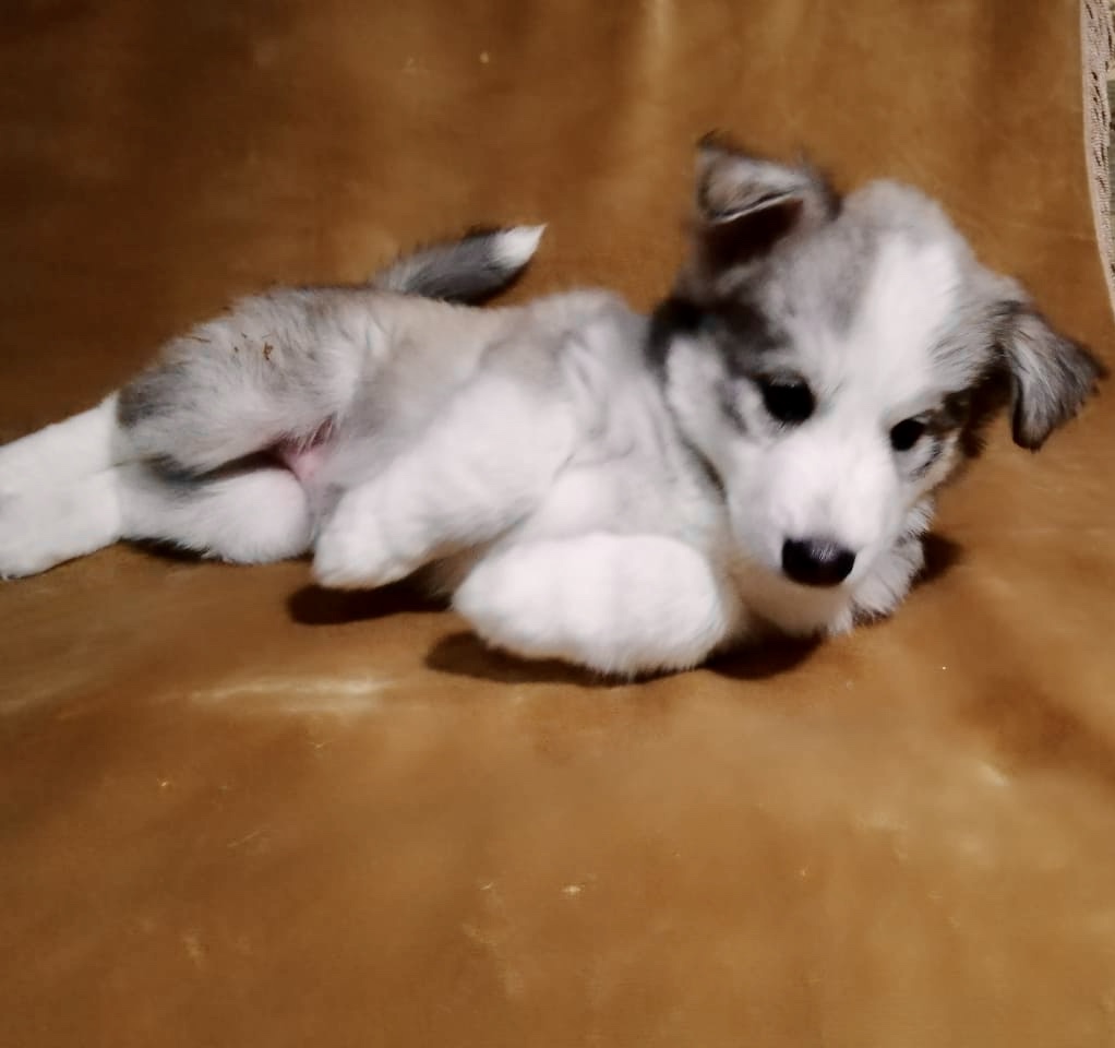 4CE9ECFA-5EA4-43A4-8A47-3047A011FDC7