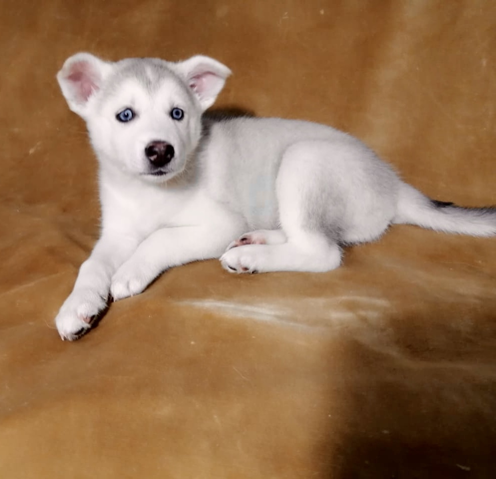 6EACE765-8AED-4389-981D-0E6630386014