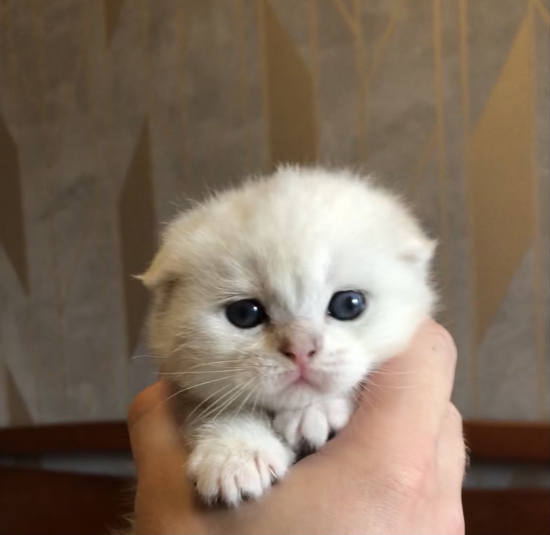 A9F373D9-91F1-42B1-93BE-87FBF1DB1D19