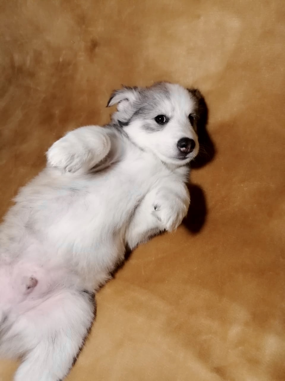 B7CCF7A2-71B2-42EC-A591-D87D0E4AC5EB