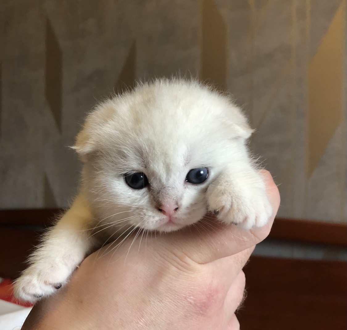 C6D621DD-A7A9-4166-AB73-44AA239597B5