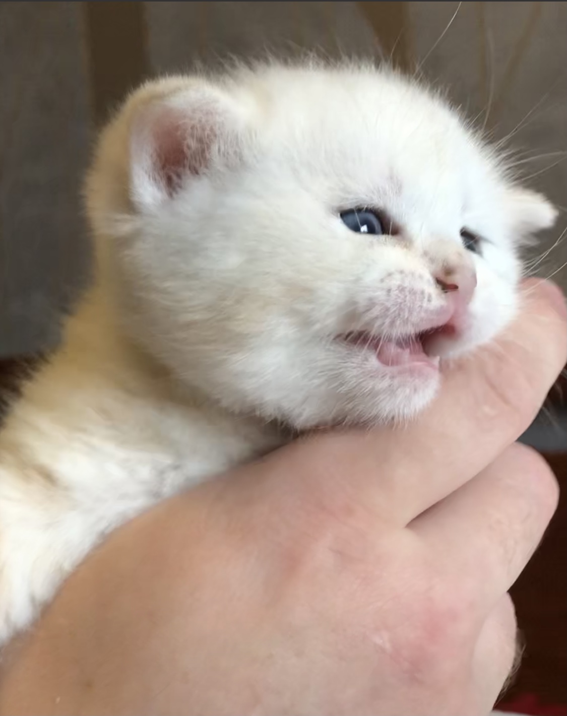 CB01AED1-2758-4906-8271-8E9822D43A93