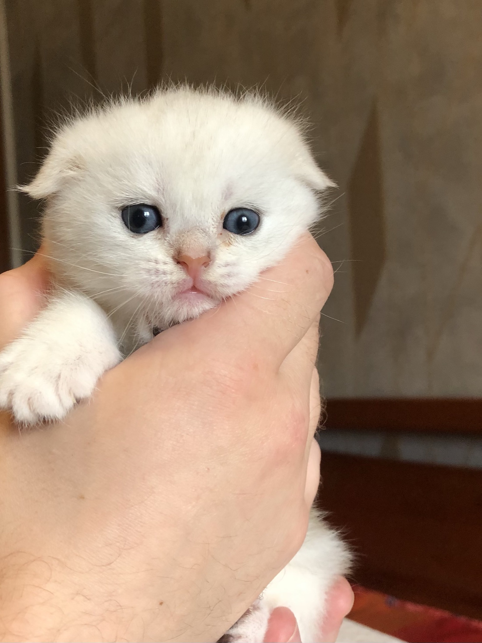 DE33BE8A-841E-44E0-BD85-D2CCD6A92164