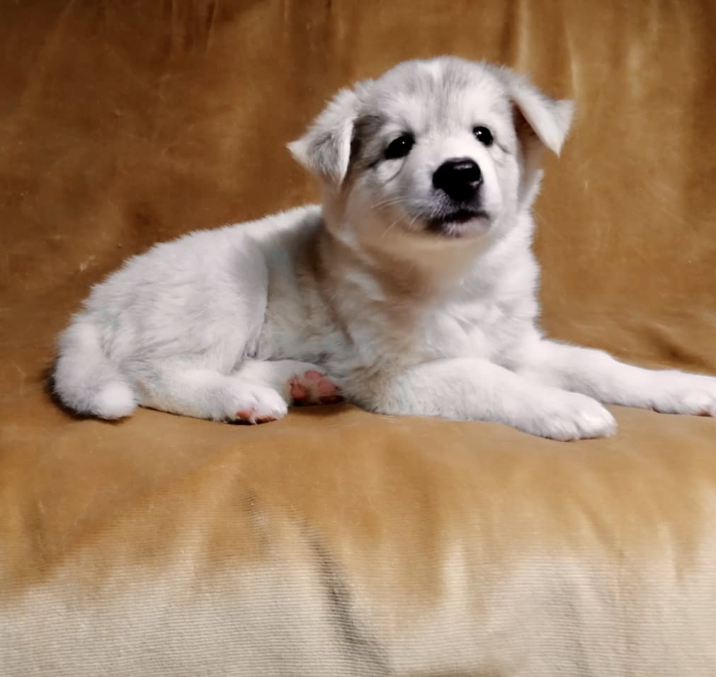 E157D194-9E2B-4698-9662-42F9178E50BC