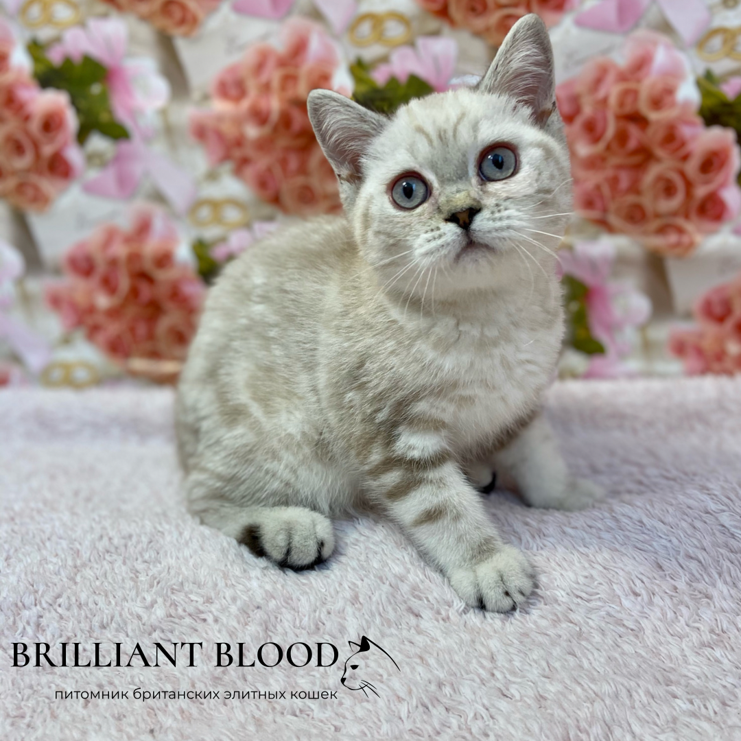 E7E0135B-58FD-4705-BDB3-44345941F048