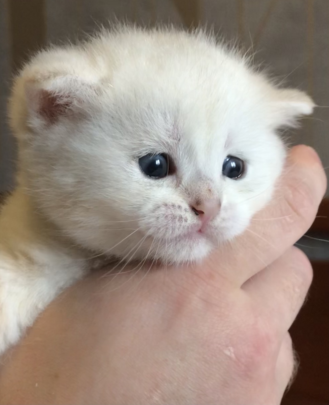 EBA93A89-31F6-4D17-A6FE-2226EDE086F0