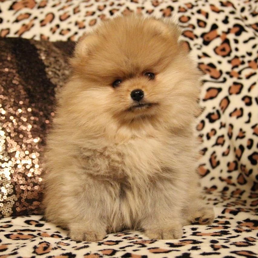 IMG_20190210_122210_358