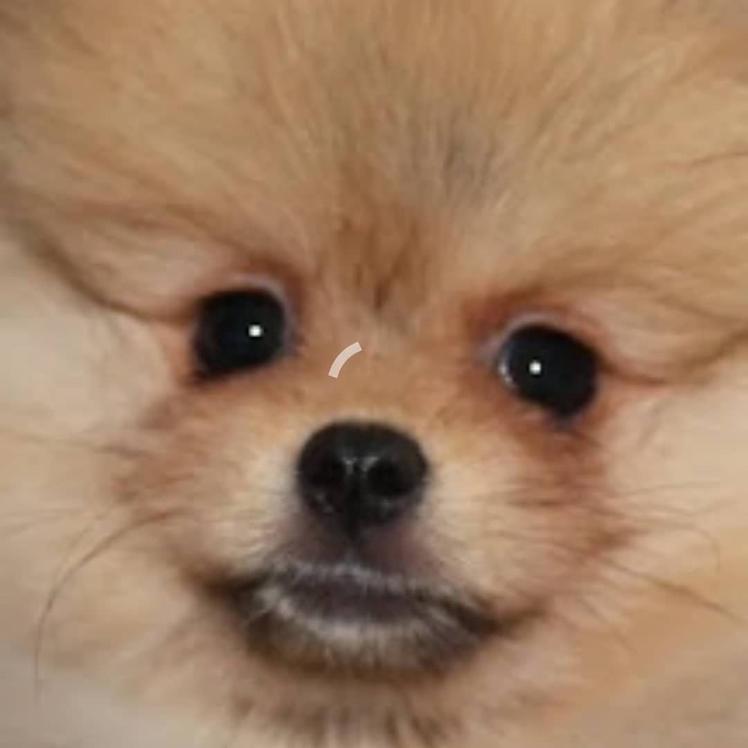 IMG_20210517_172008_670