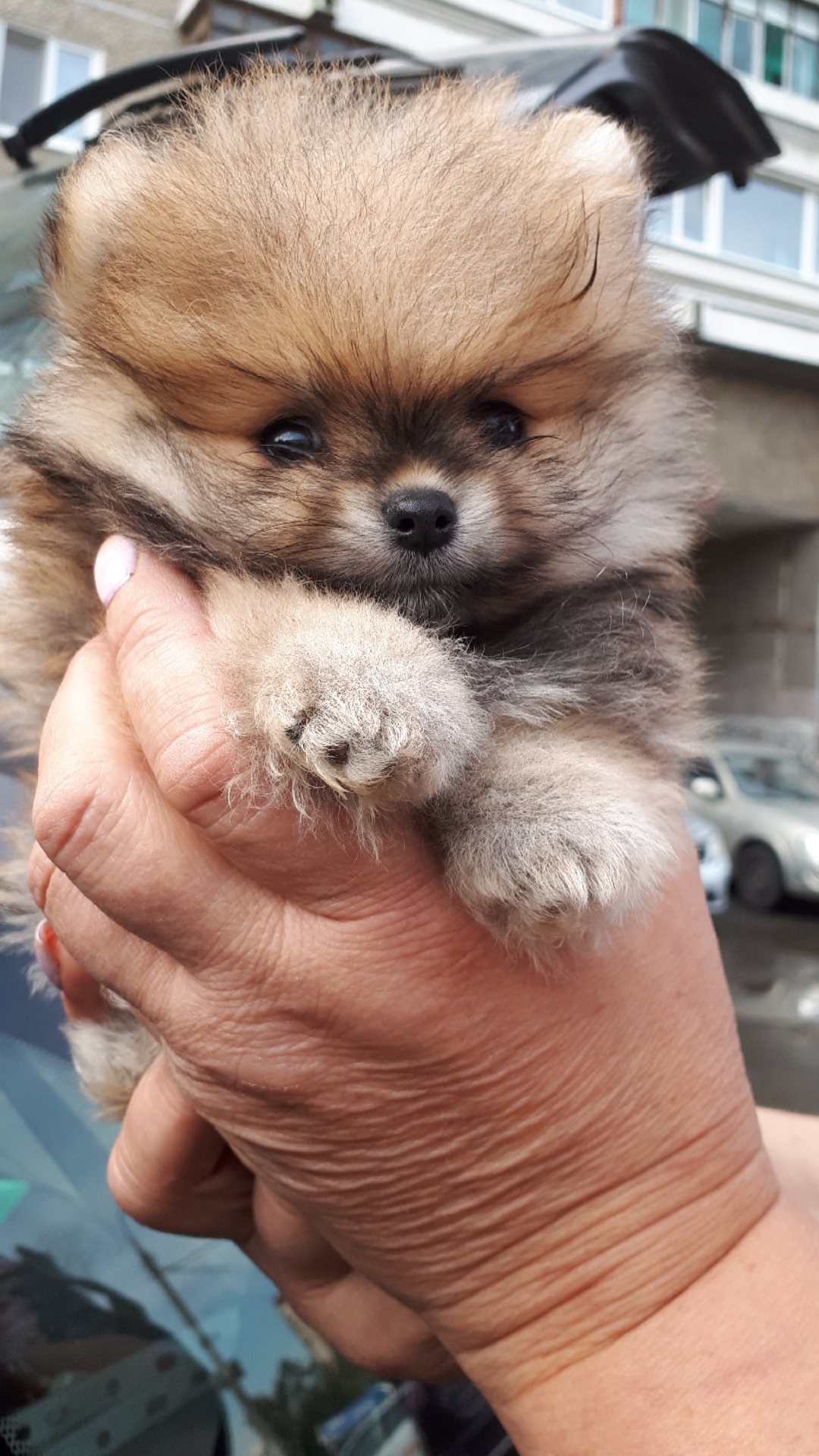 Screenshot_20210412-094845