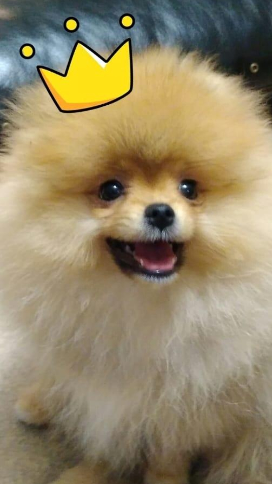 Screenshot_20210513-105525