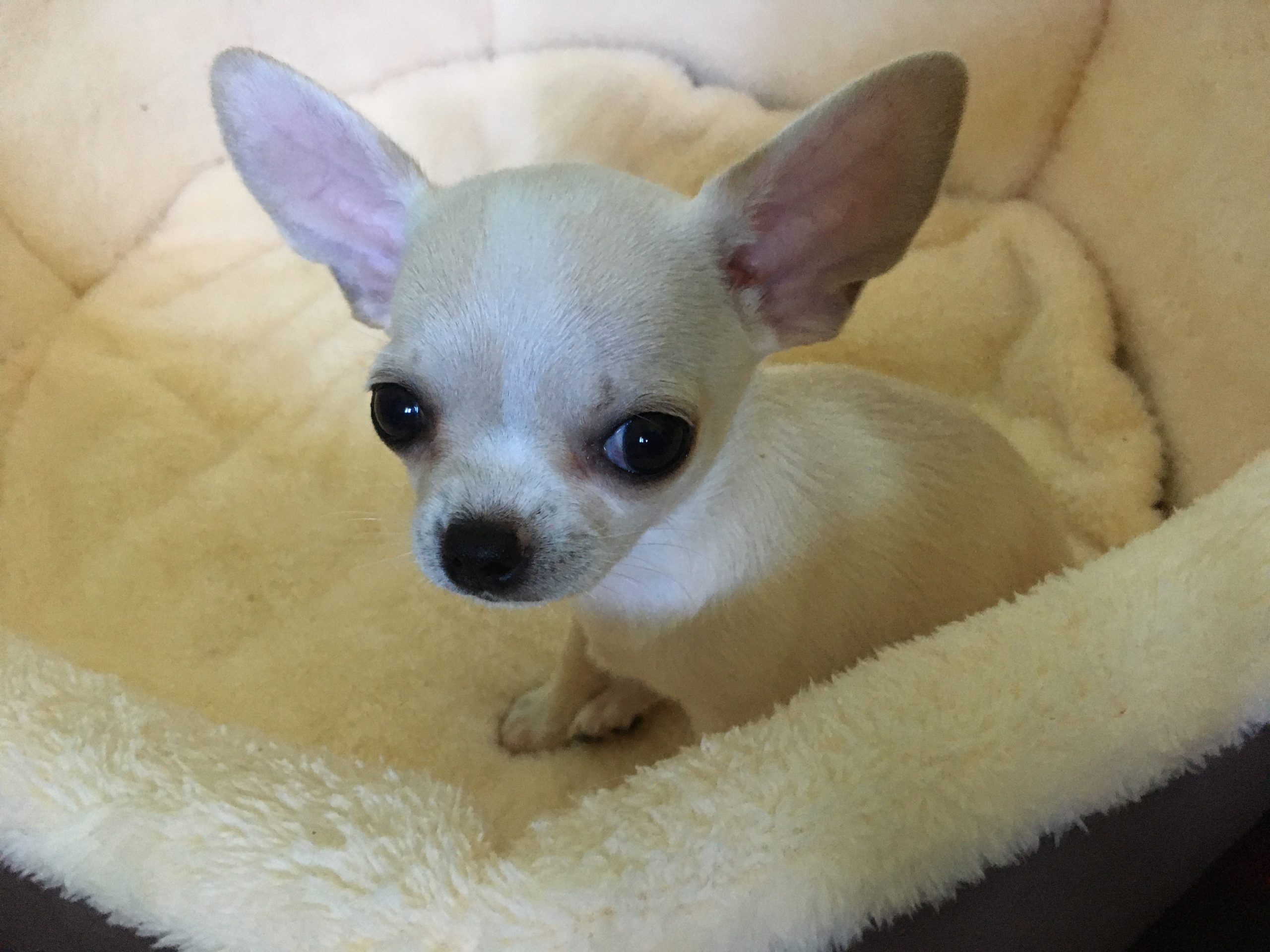 15FF888A-383C-4783-B9BE-7CCC5DC8B6EC