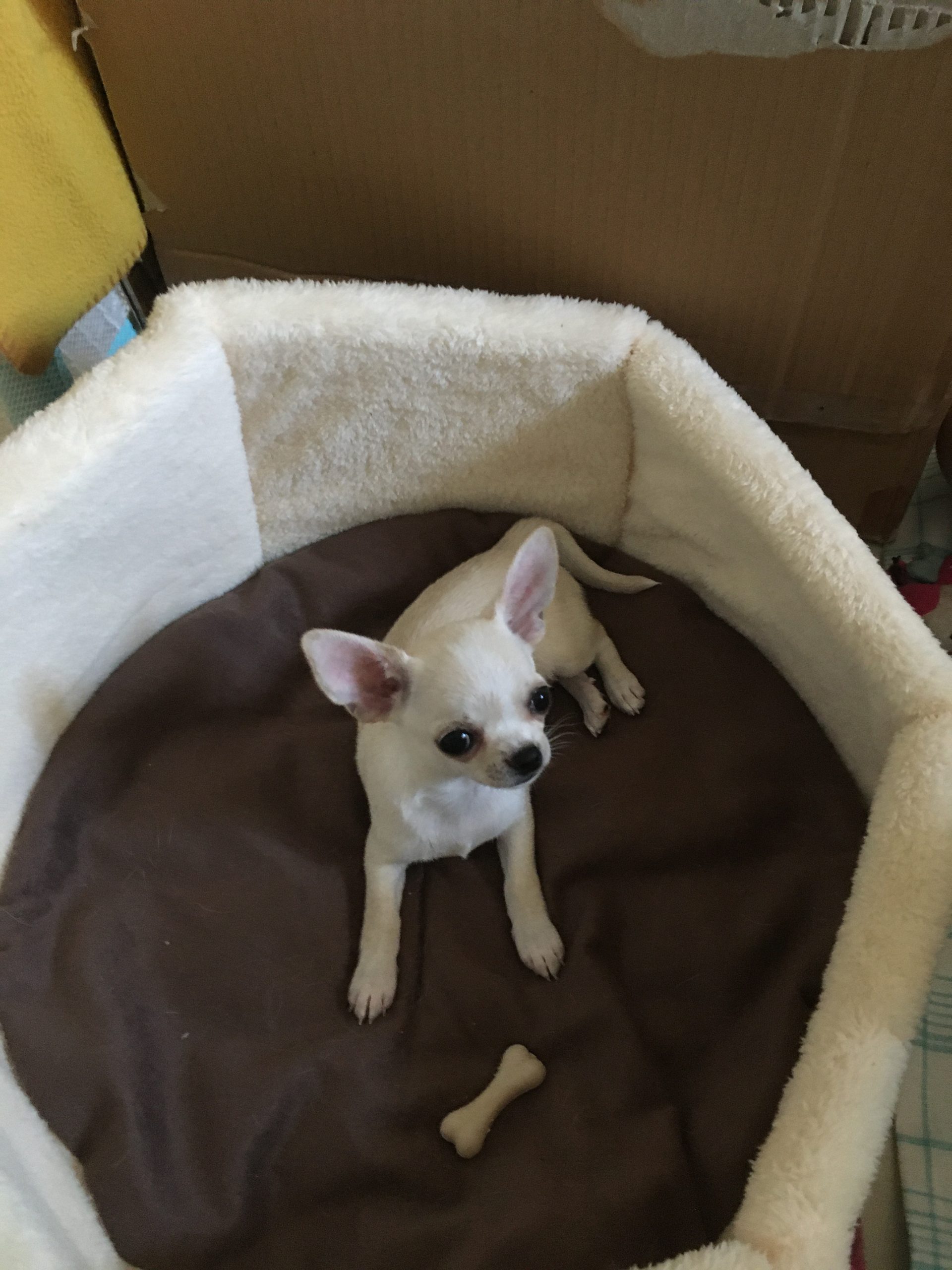 6B3FB053-D8D9-41E5-9209-0A75DEA1BAA7