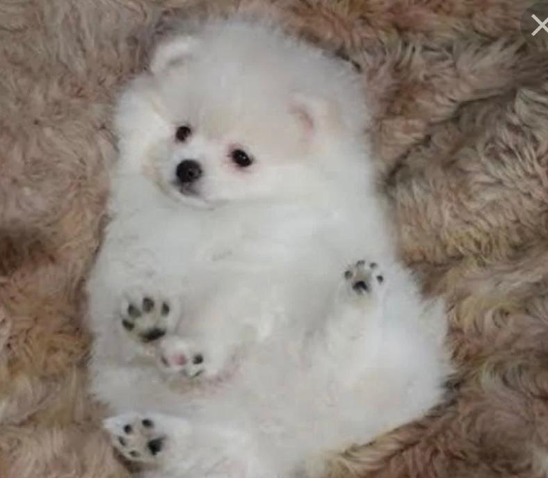 A5A2B356-A04D-49D9-894D-8AD0B818F534