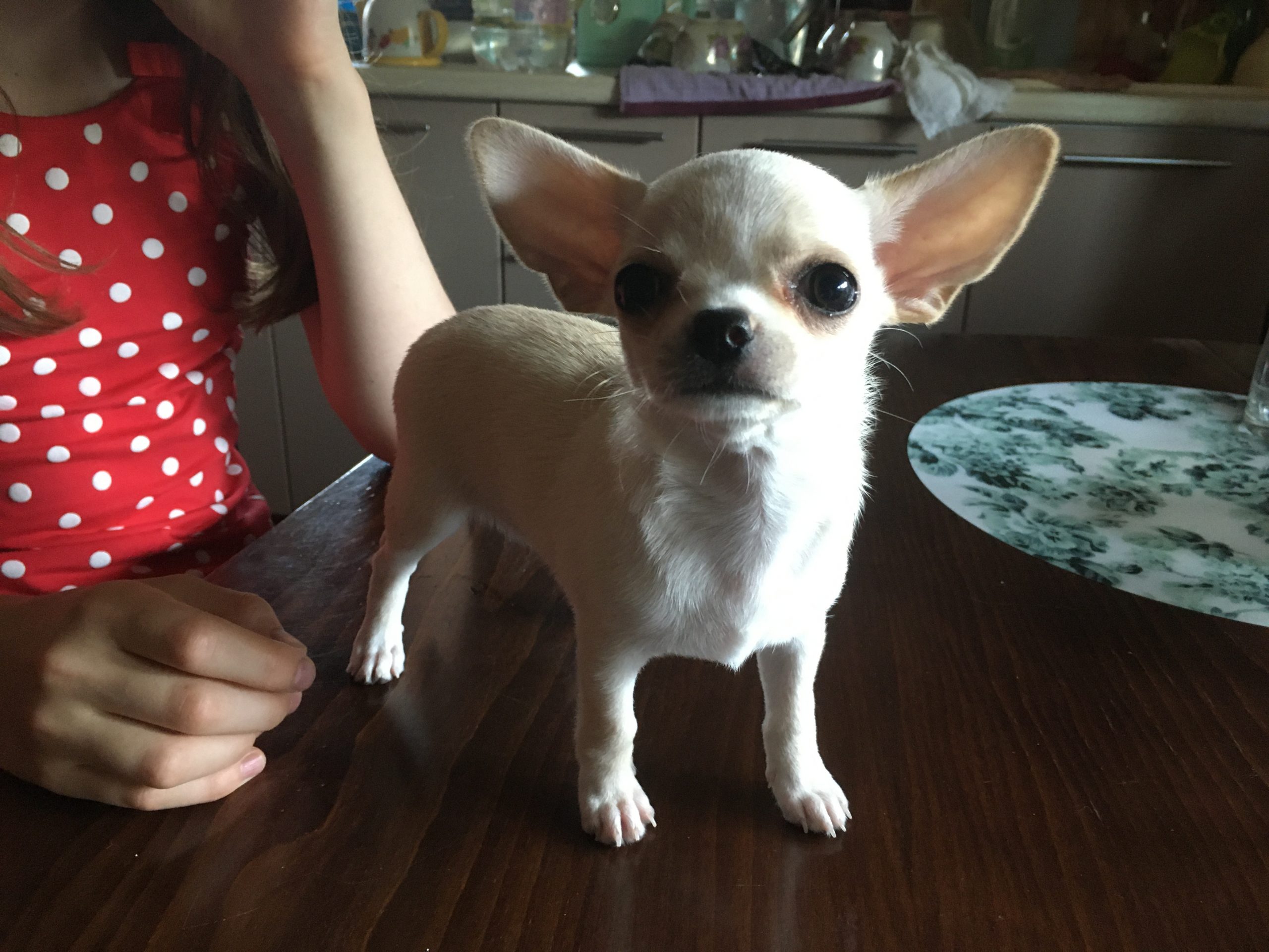 C0D52428-DFE9-4206-86B4-A2A7CBE2FF88