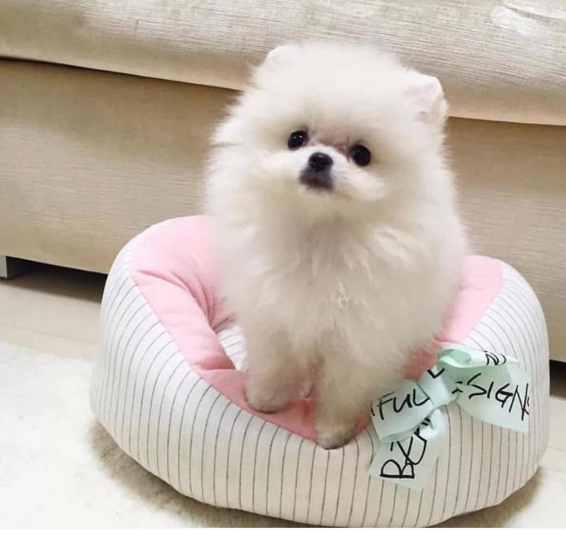 CA07C81D-C65C-4021-BD18-9DA776B183D4