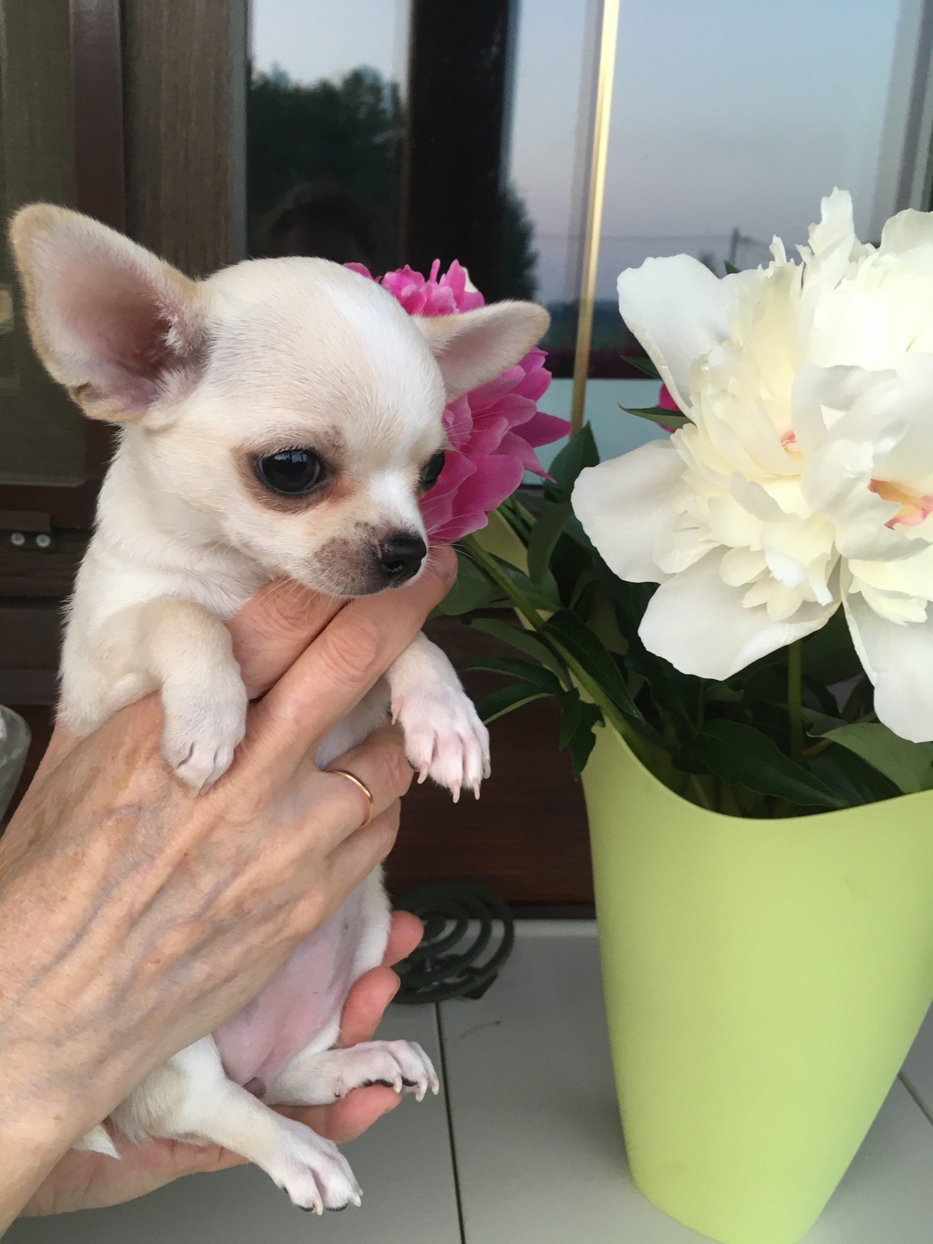 F5107000-750C-4F8B-88E1-5950AC79D7B3