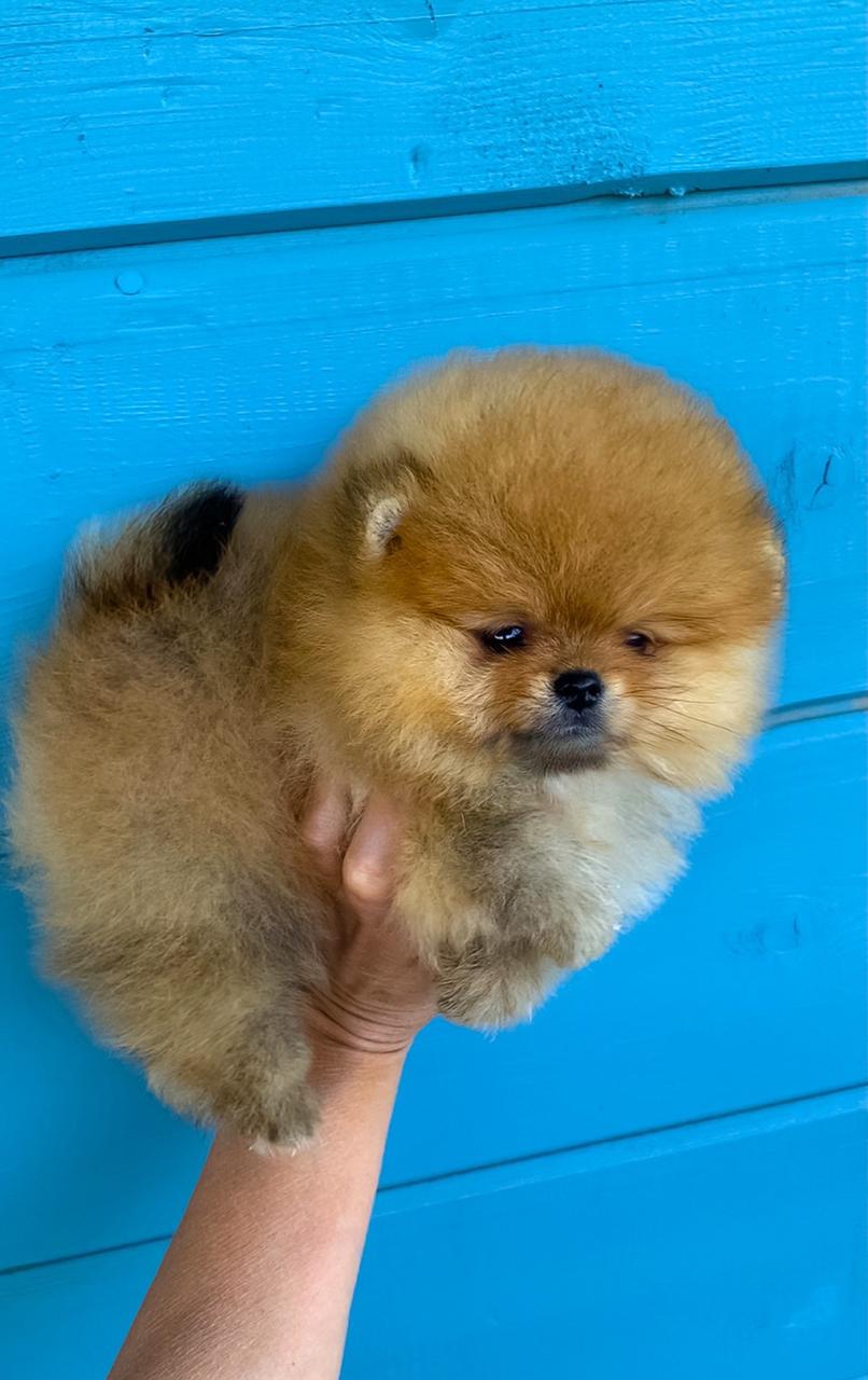 WhatsApp-Image-2021-07-30-at-13.34.31-1