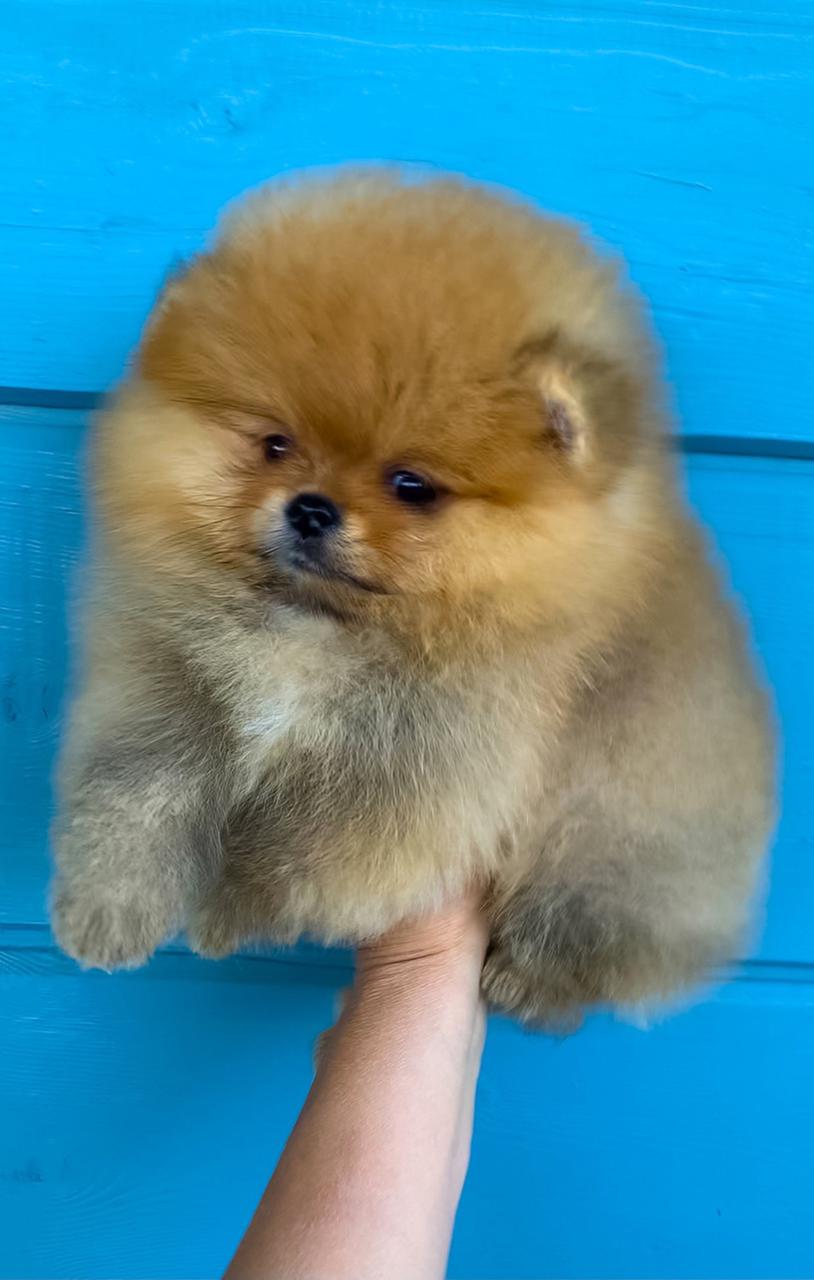 WhatsApp-Image-2021-07-30-at-13.34.31-2