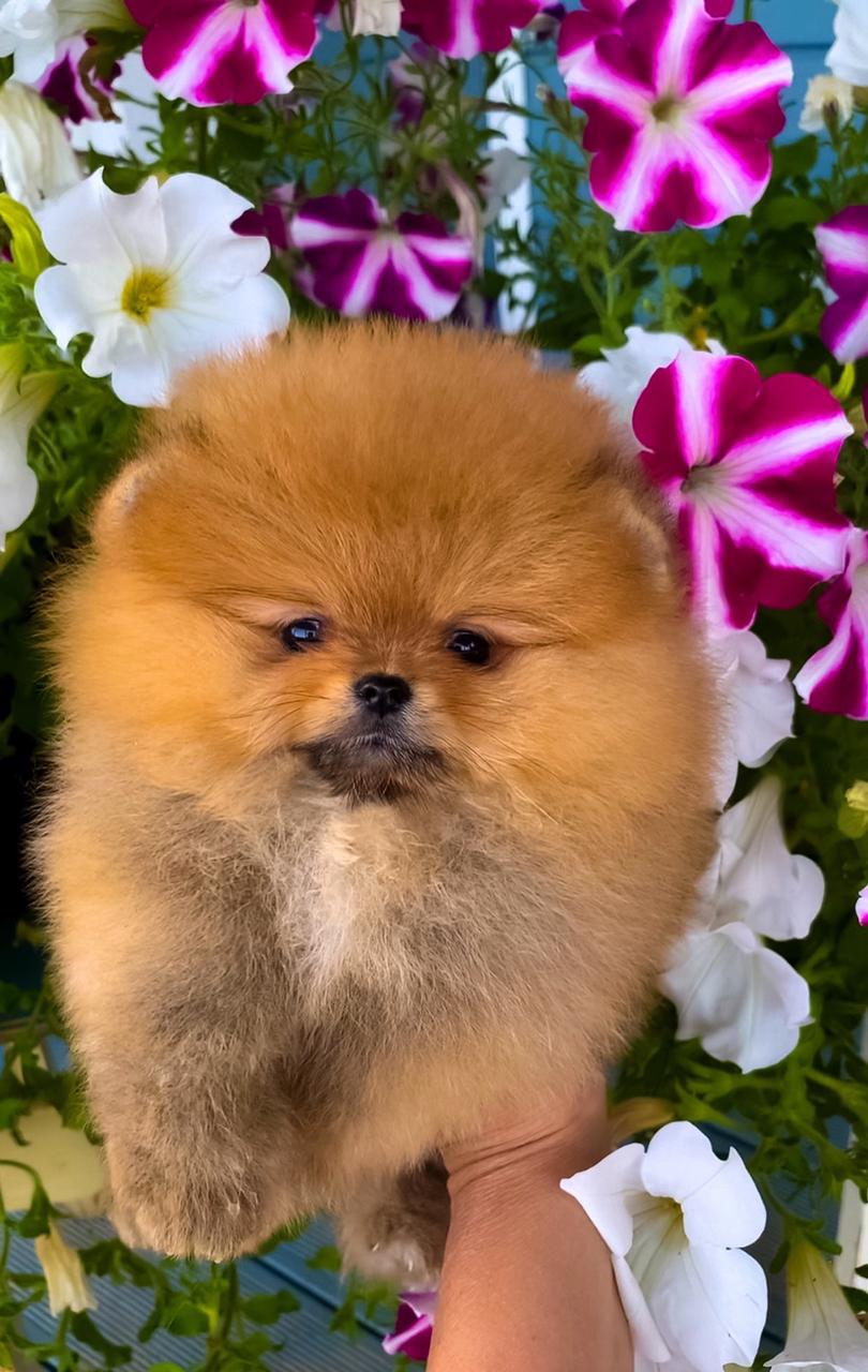 WhatsApp-Image-2021-07-30-at-13.34.31