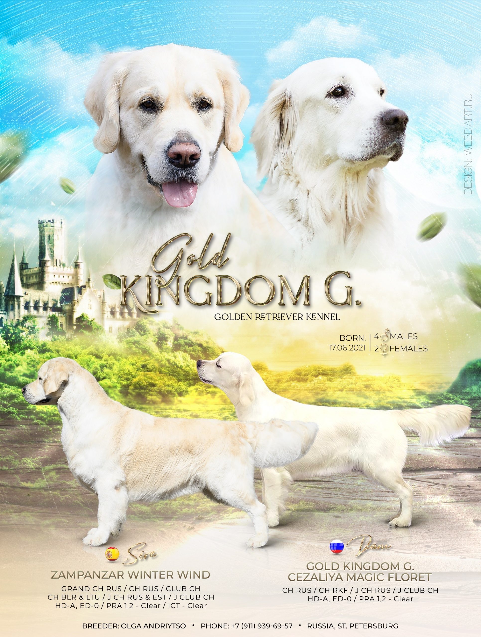 presentation-1-—-копия