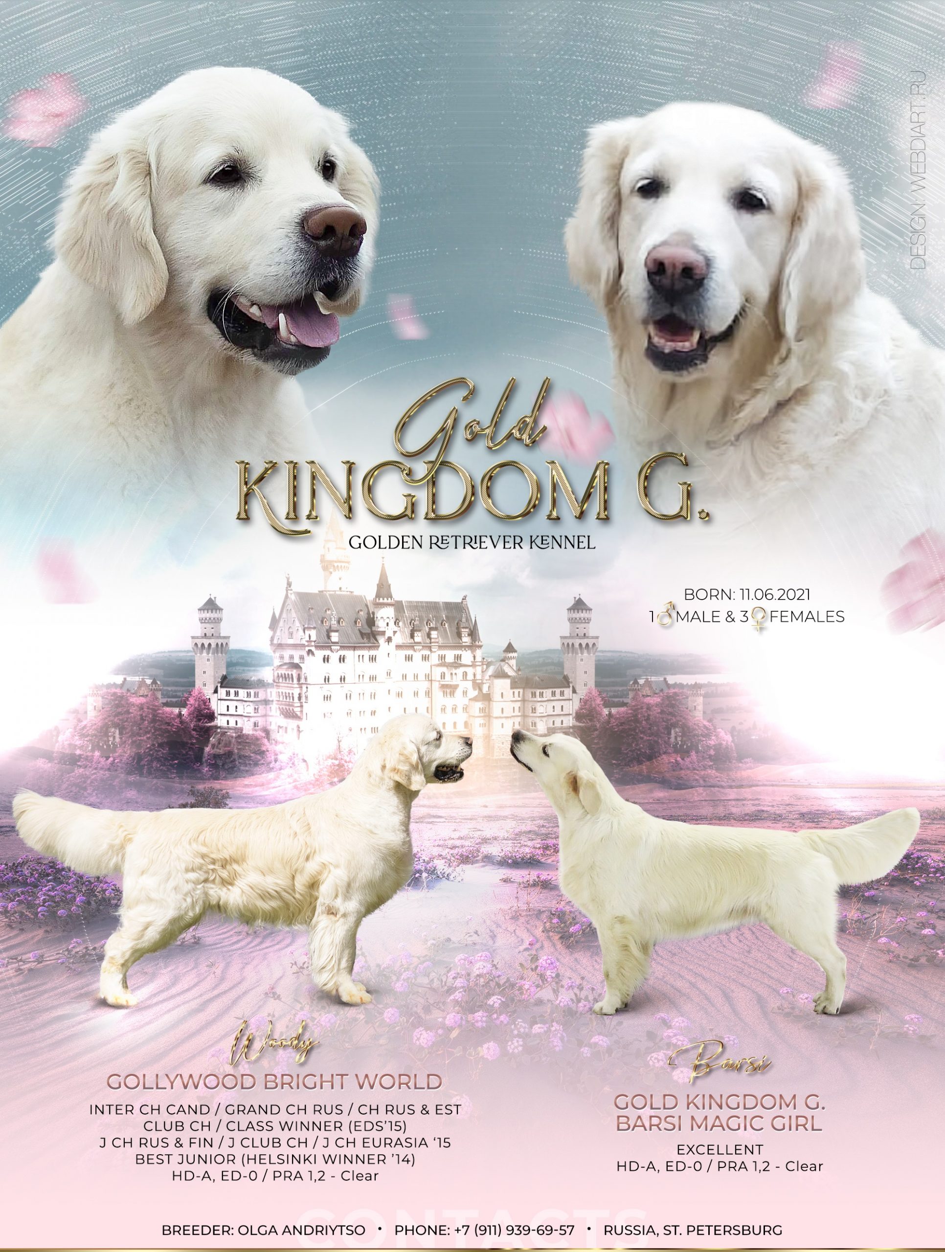 presentation-2-—-копия