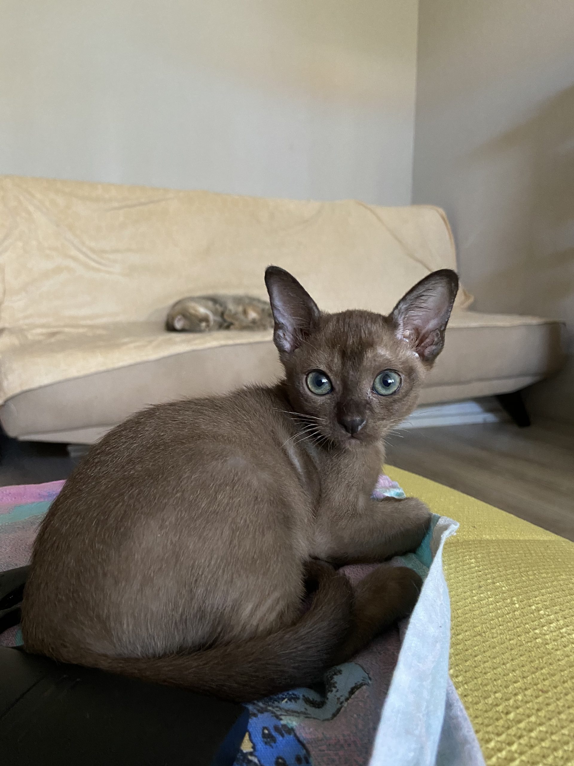 4DB4994C-B673-4054-8287-DB4F99BA2226